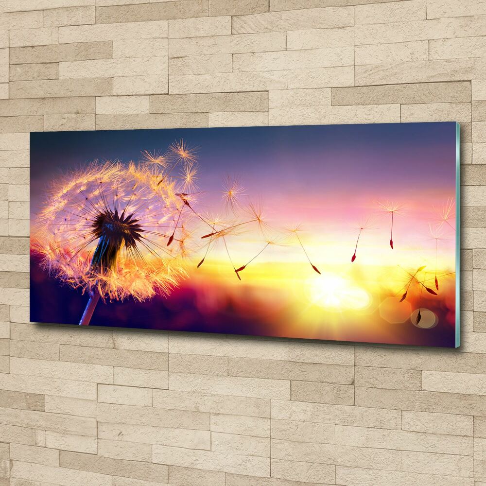 Acrylic wall art Dandelion