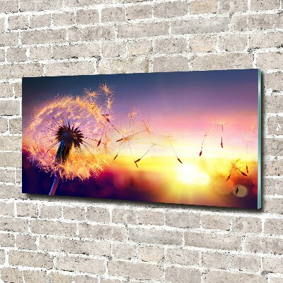 Acrylic wall art Dandelion