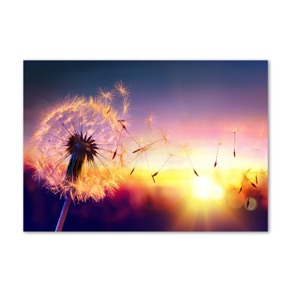 Acrylic wall art Dandelion