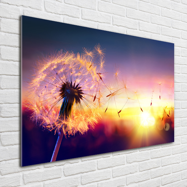 Acrylic wall art Dandelion