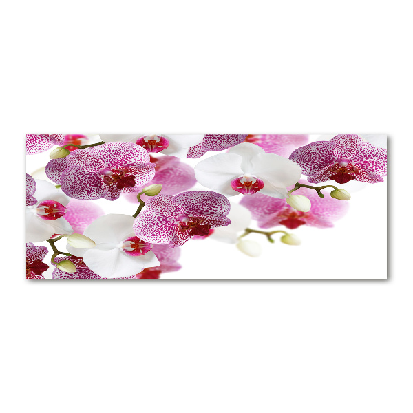 Acrylic wall art Orchid