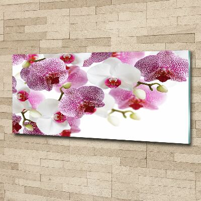 Acrylic wall art Orchid