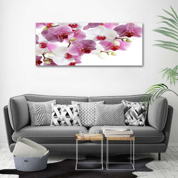 Acrylic wall art Orchid