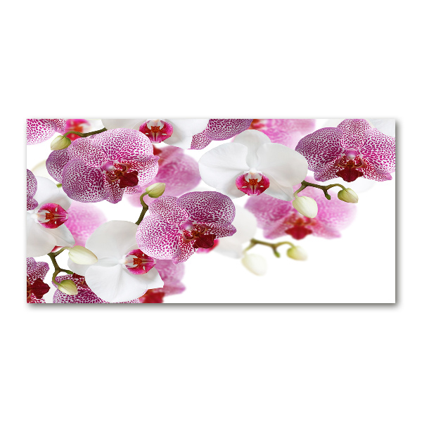 Acrylic wall art Orchid