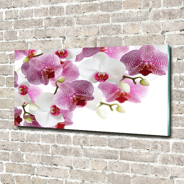 Acrylic wall art Orchid