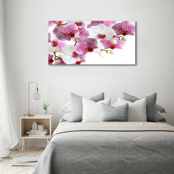 Acrylic wall art Orchid