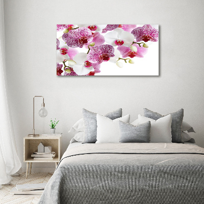 Acrylic wall art Orchid