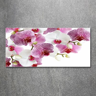 Acrylic wall art Orchid