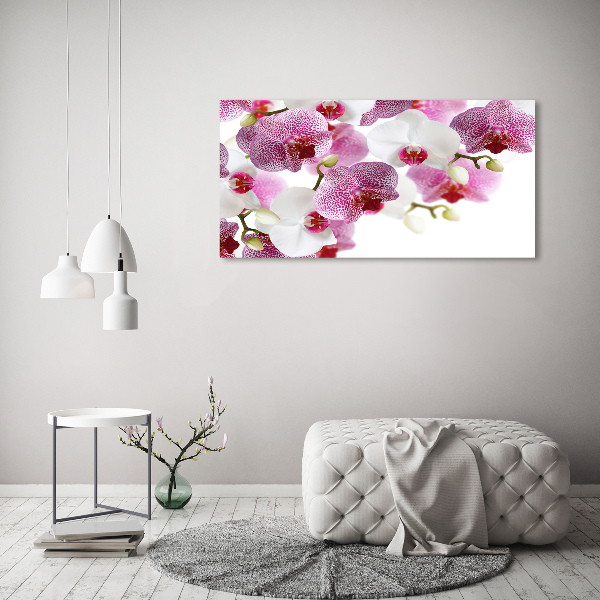 Acrylic wall art Orchid