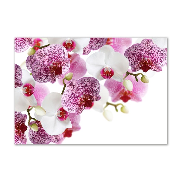 Acrylic wall art Orchid