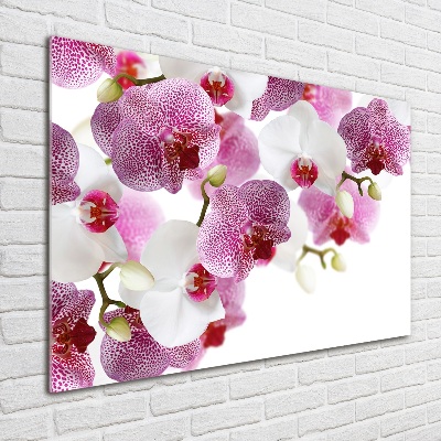 Acrylic wall art Orchid