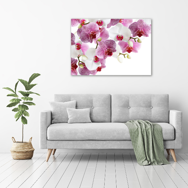 Acrylic wall art Orchid