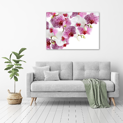 Acrylic wall art Orchid