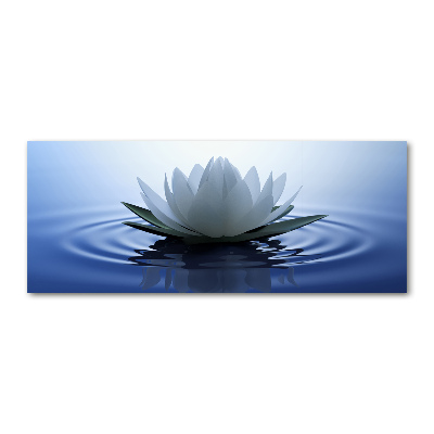 Acrylic print water lily