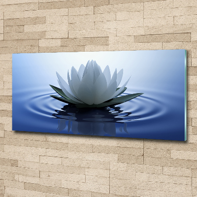 Acrylic print water lily