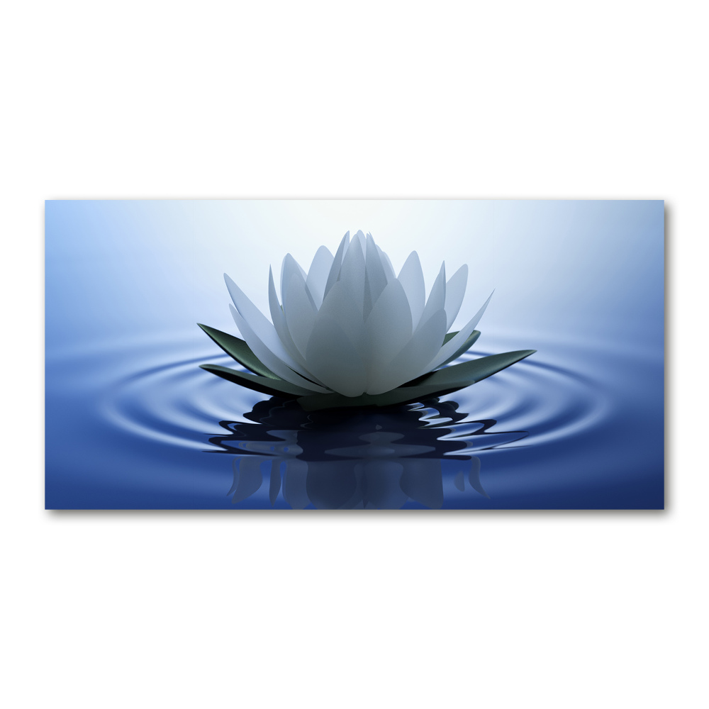 Acrylic print water lily