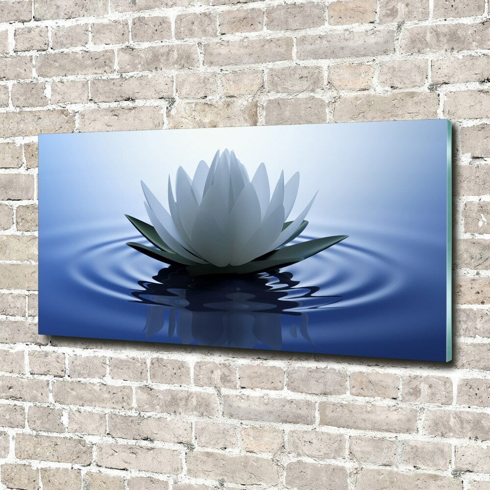 Acrylic print water lily