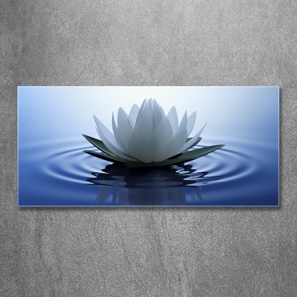 Acrylic print water lily