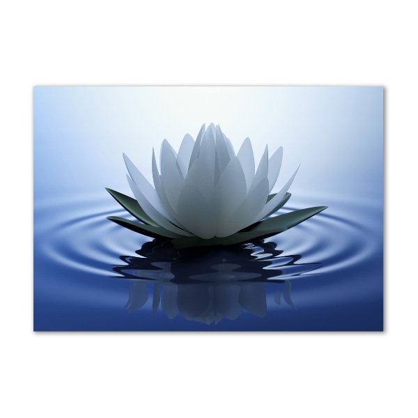 Acrylic print water lily