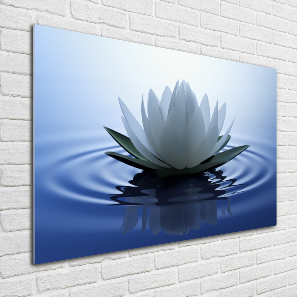 Acrylic print water lily