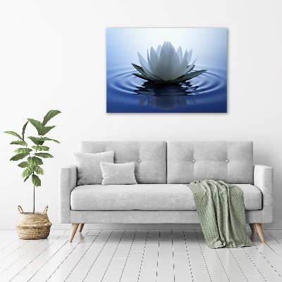 Acrylic print water lily