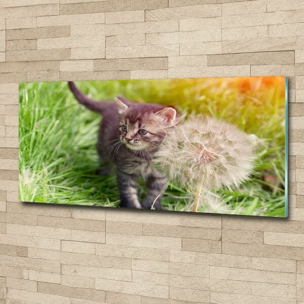 Wall art acrylic Kitty with dandelion