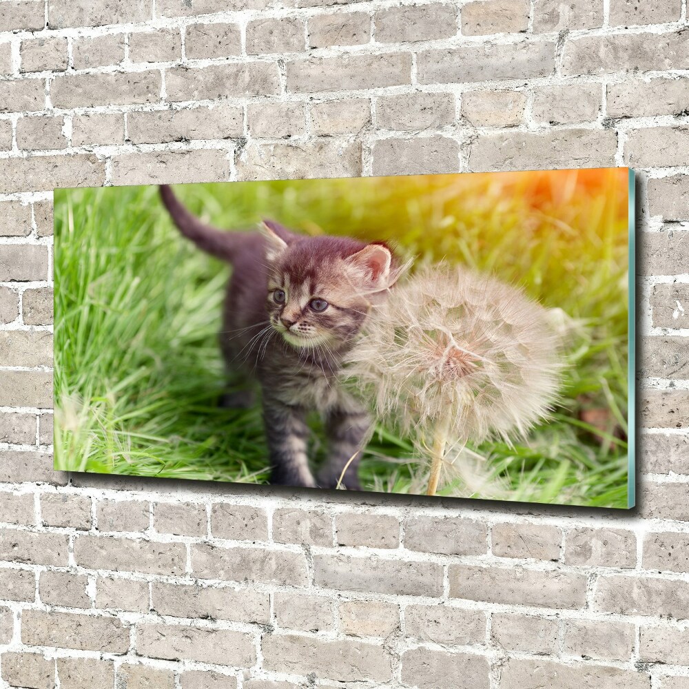 Wall art acrylic Kitty with dandelion