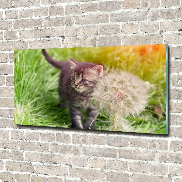 Wall art acrylic Kitty with dandelion