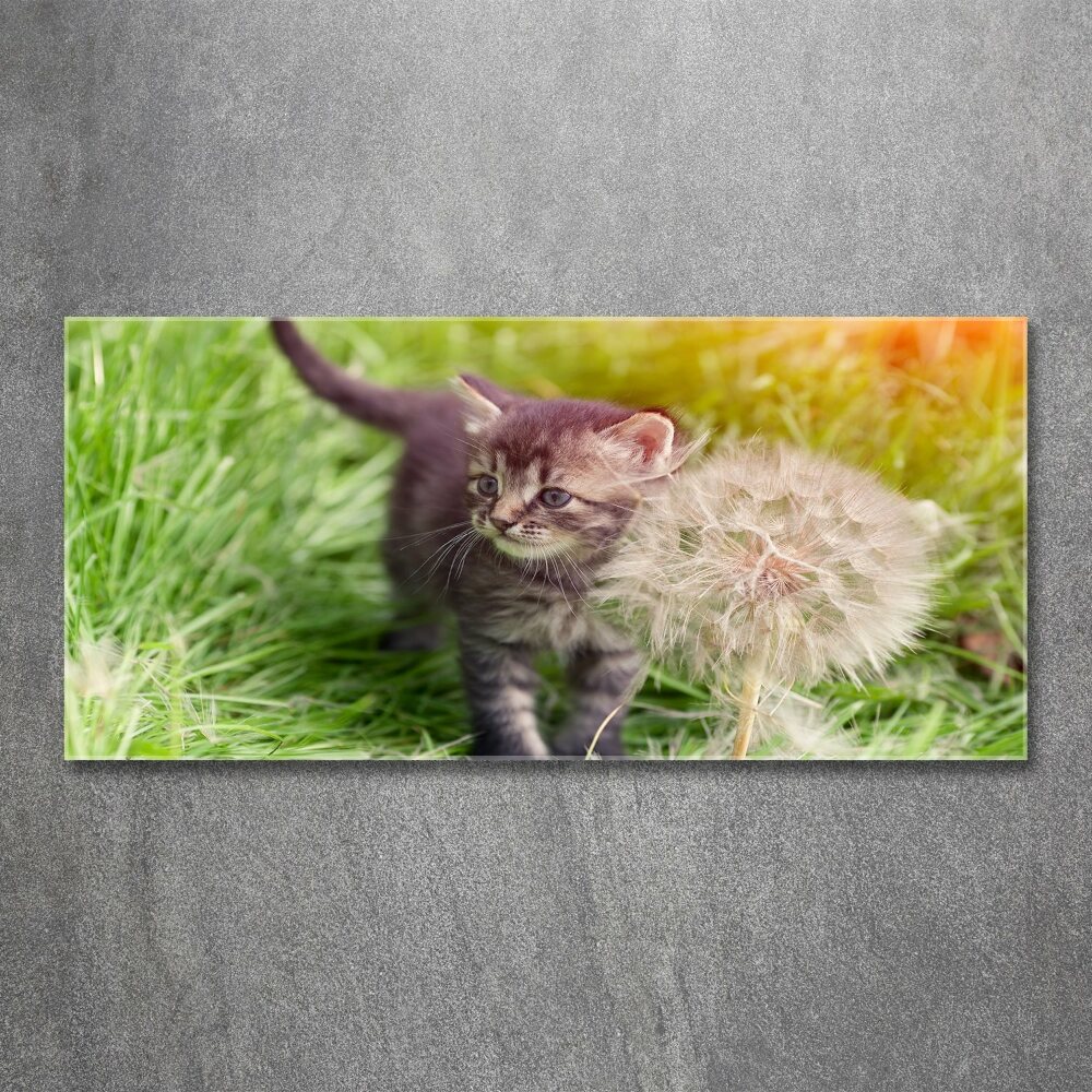 Wall art acrylic Kitty with dandelion