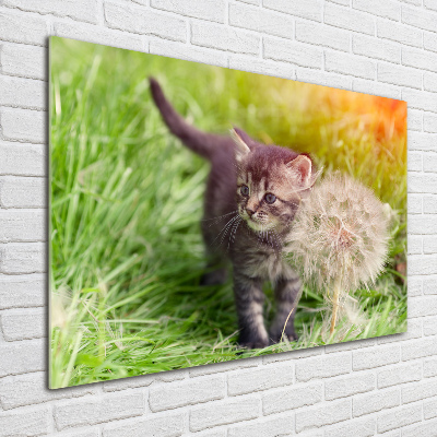 Wall art acrylic Kitty with dandelion