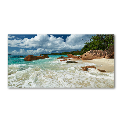 Acrylic wall art Seychelles beach