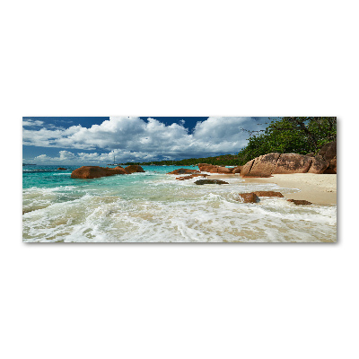 Acrylic wall art Seychelles beach