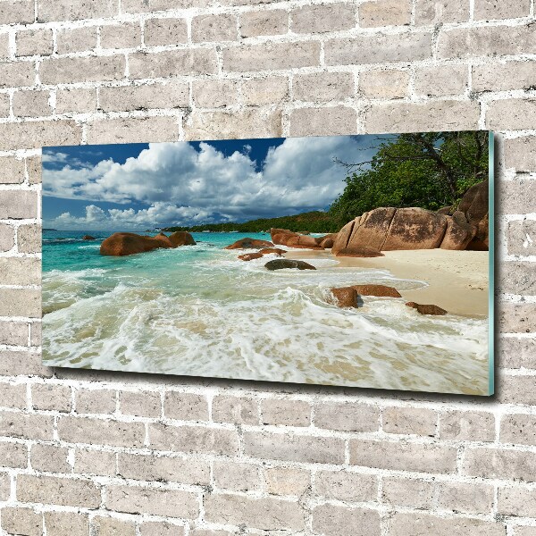 Acrylic wall art Seychelles beach