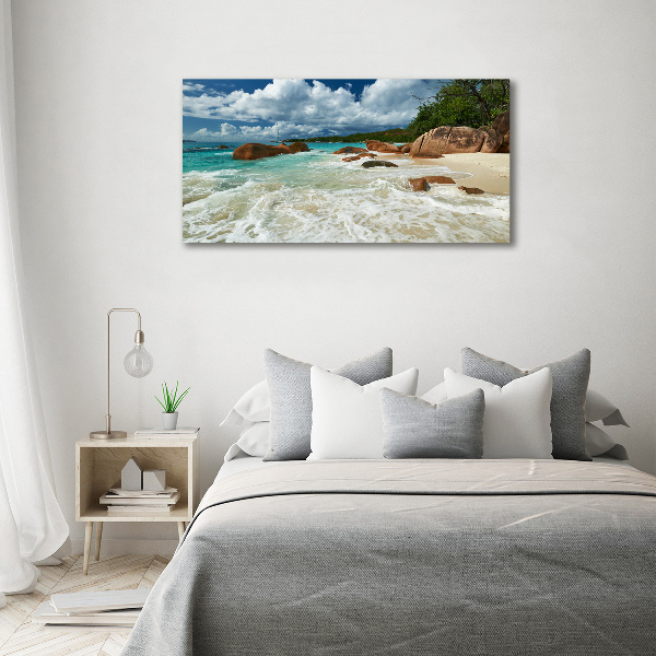 Acrylic wall art Seychelles beach