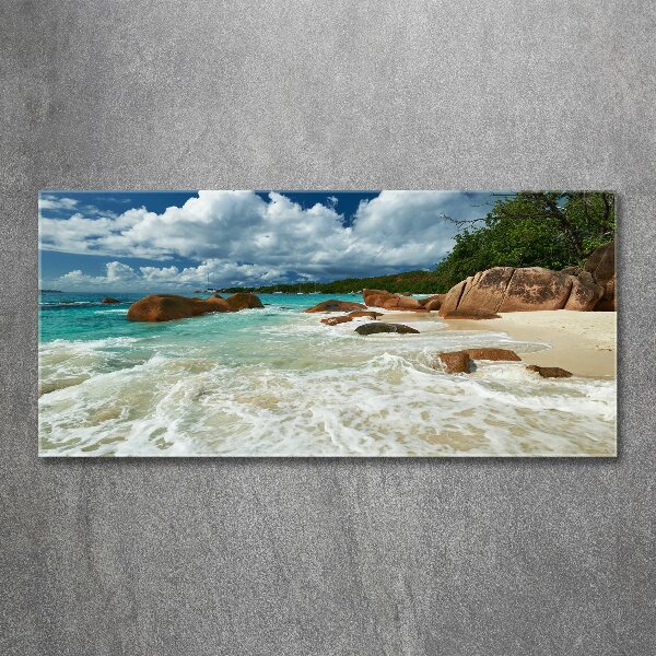 Acrylic wall art Seychelles beach