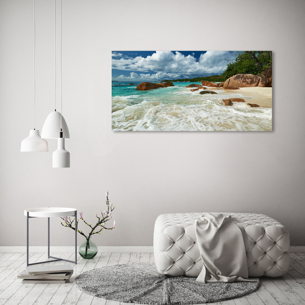 Acrylic wall art Seychelles beach