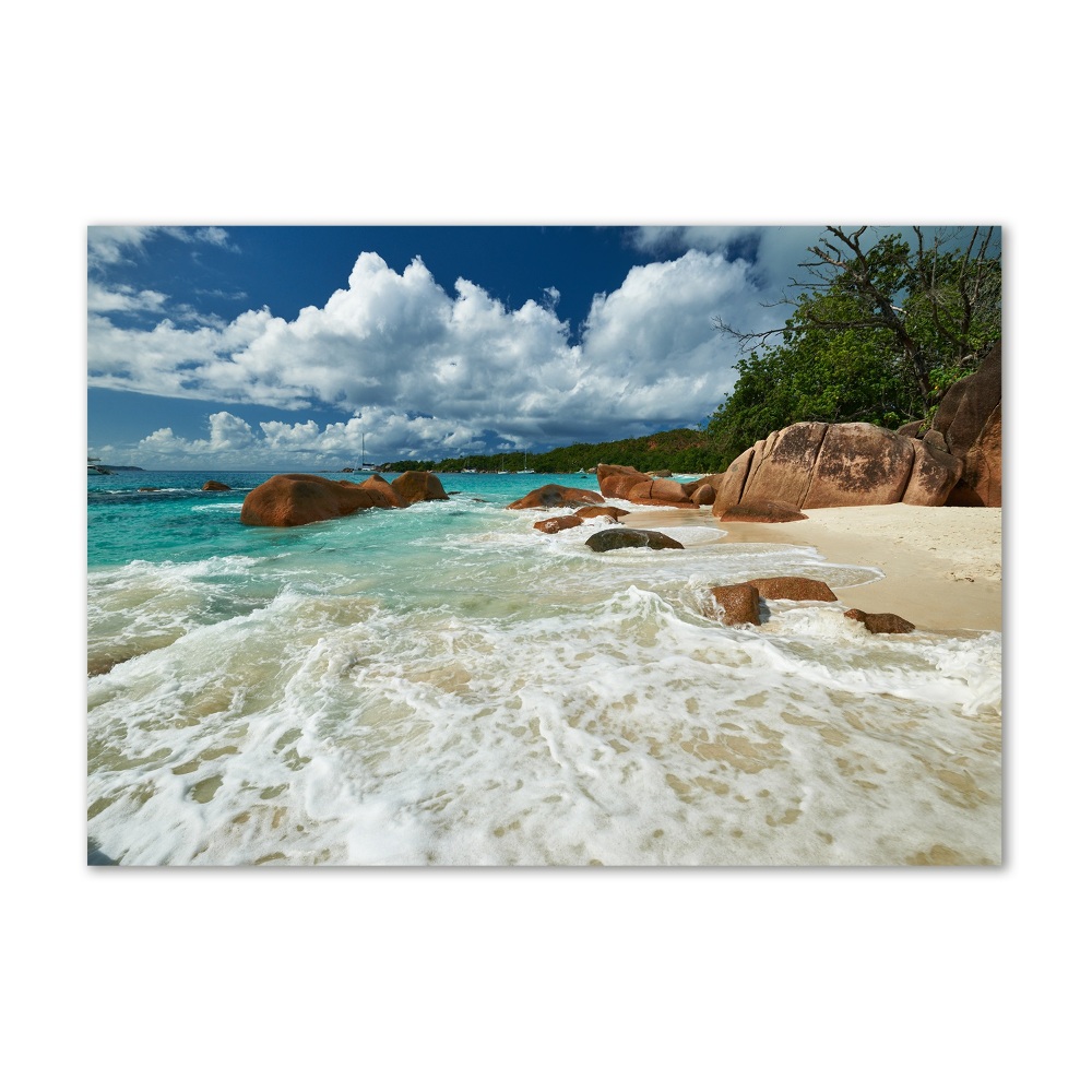 Acrylic wall art Seychelles beach