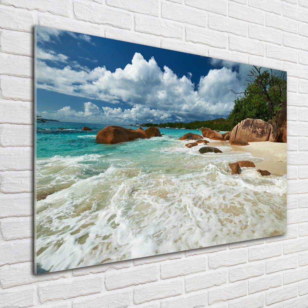 Acrylic wall art Seychelles beach