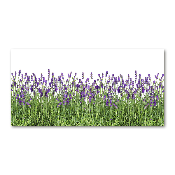 Wall art acrylic Lavender flowers