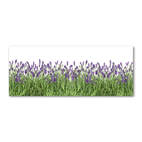 Wall art acrylic Lavender flowers