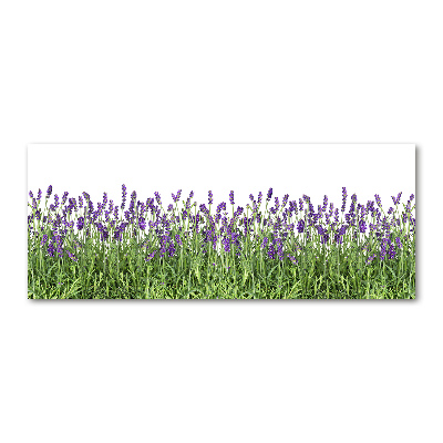 Wall art acrylic Lavender flowers