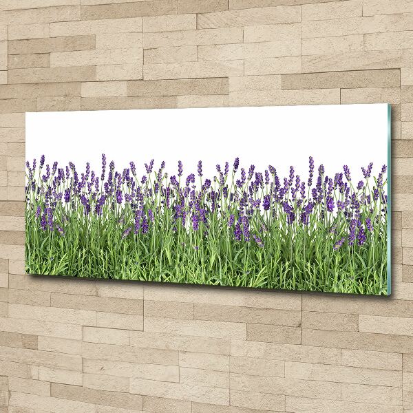 Wall art acrylic Lavender flowers