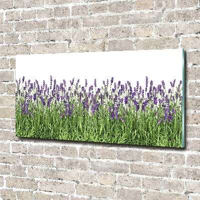 Wall art acrylic Lavender flowers