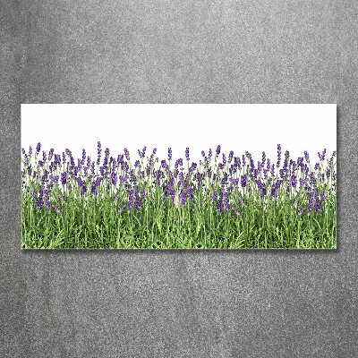 Wall art acrylic Lavender flowers