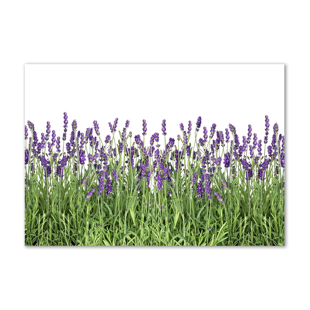 Wall art acrylic Lavender flowers