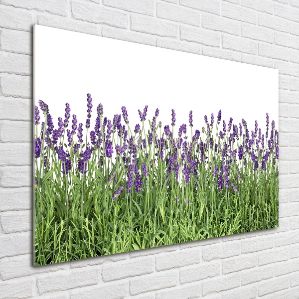 Wall art acrylic Lavender flowers