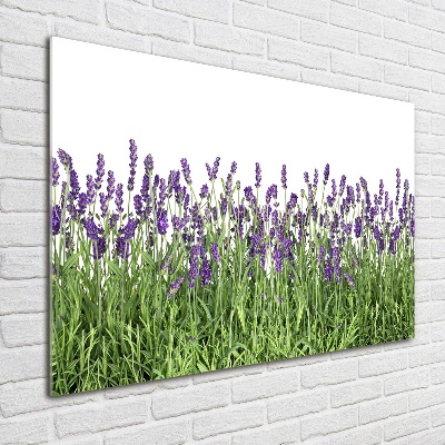 Wall art acrylic Lavender flowers