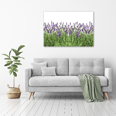 Wall art acrylic Lavender flowers