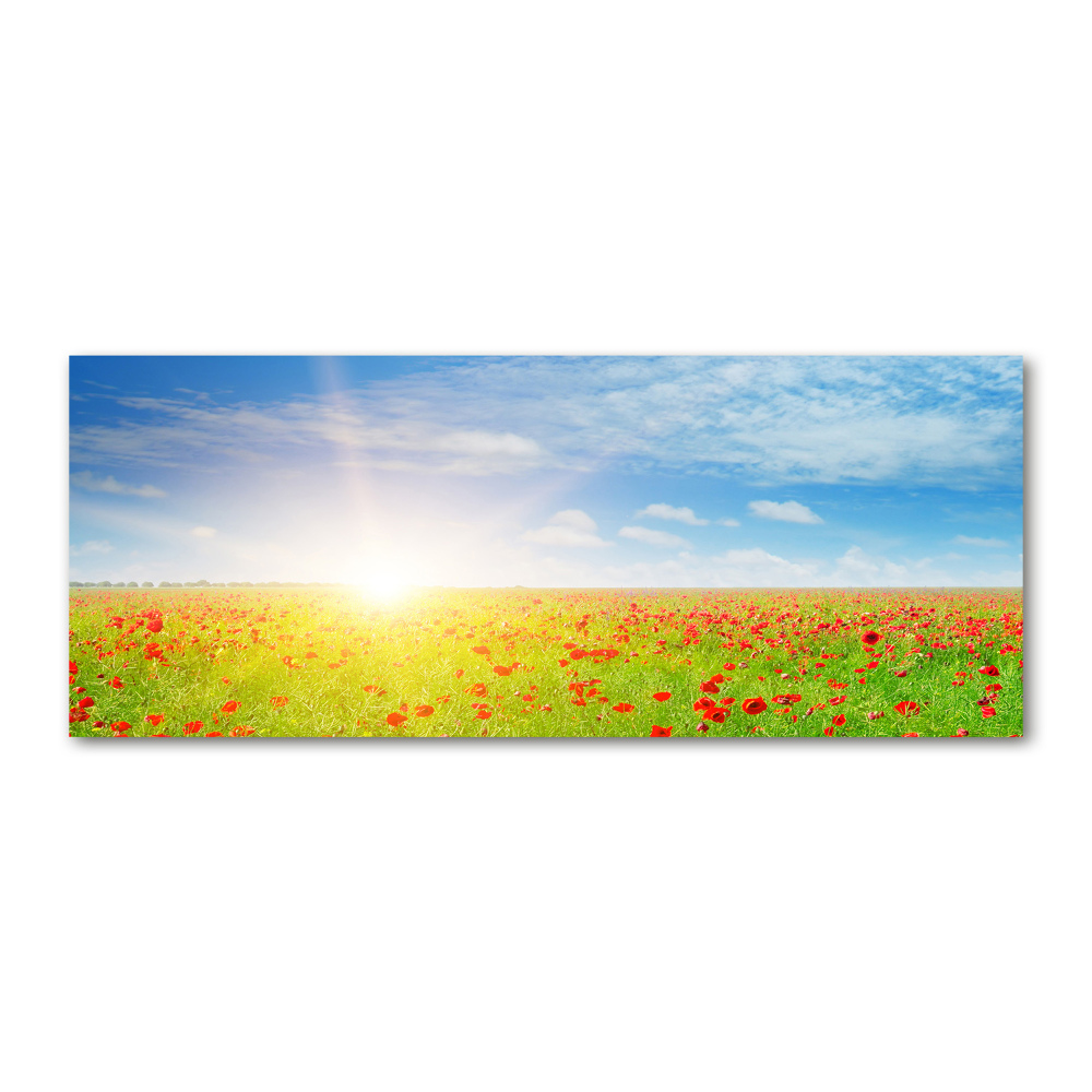 Wall art acrylic Mak field