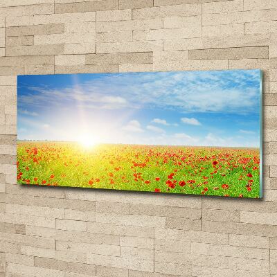 Wall art acrylic Mak field